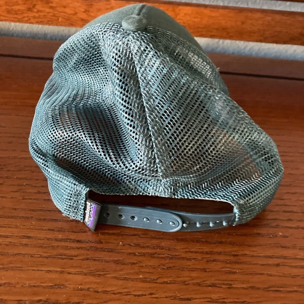 Patagonia Fitz Roy Trout Ball Cap Hat